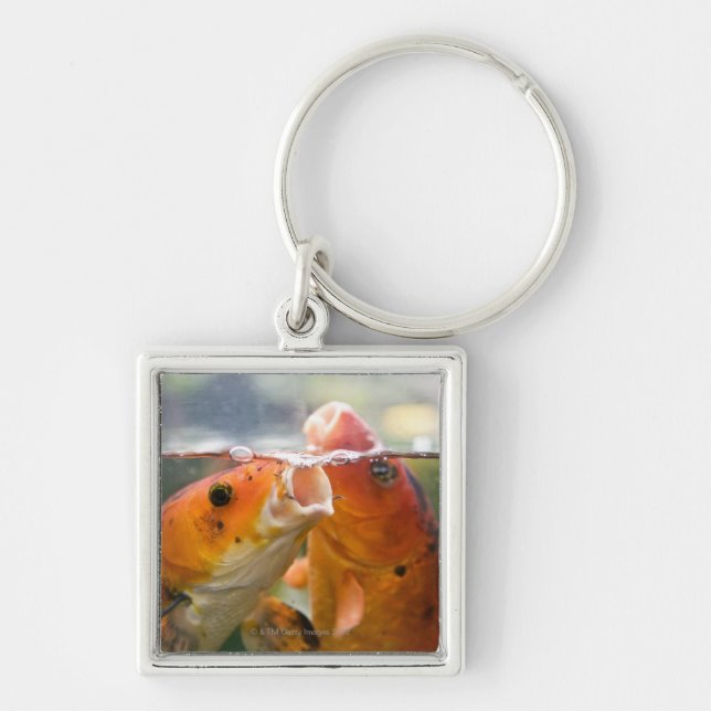 Koi carps fyrkantig silverfärgad nyckelring (Framsidan)