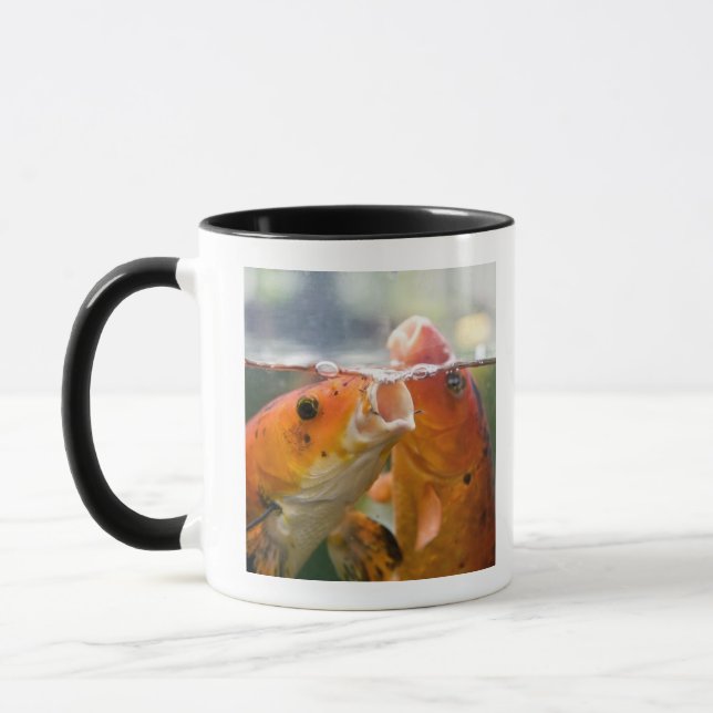 Koi carps mugg (Vänster)