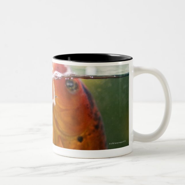 Koi carps Två-Tonad mugg (Höger)