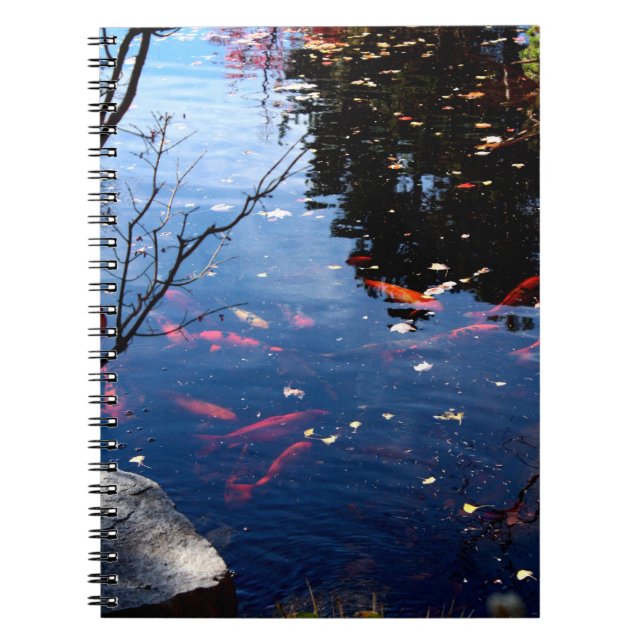 Koi damm anteckningsbok (Framsidan)