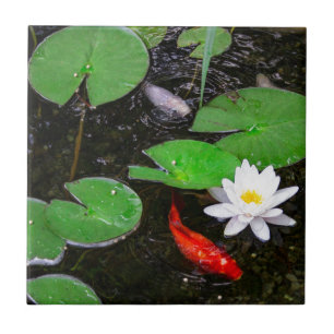 Koi damm kakelplatta
