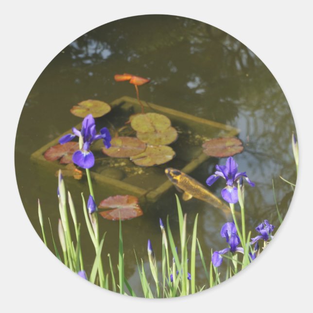 Koi Fish #4 Stickers Runt Klistermärke (Framsida)