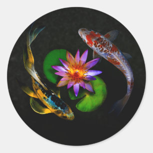 Koi Fish omkring Lotus Flower i en Zen Pond Runt Klistermärke