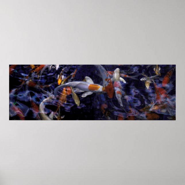 KOI FISH ÖVER FLÖDET #2 POSTER (Framsidan)