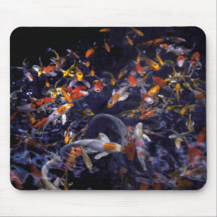 KOI FISH ÖVER FLÖDET MUSMATTA
