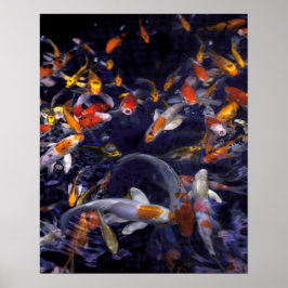 KOI FISH ÖVER FLÖDET POSTER