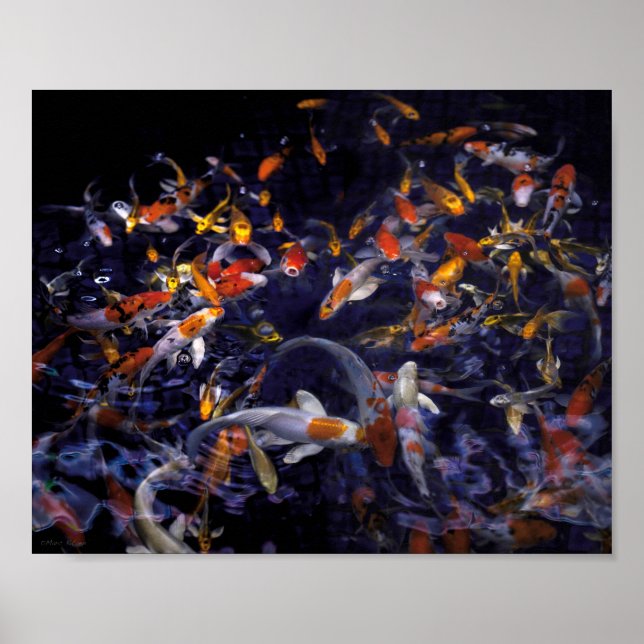 KOI FISH ÖVER FLÖDET POSTER (Framsidan)