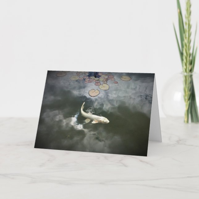 Koi Fish Pond Kort (Framsida)