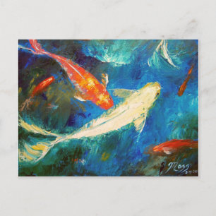 Koi Fish Pond Vykort