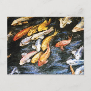 Koi Fish Postcard Vykort