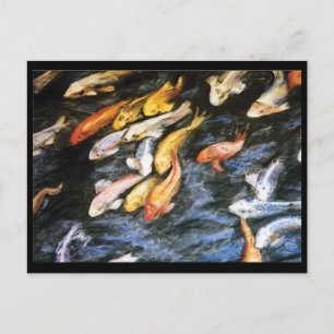 Koi Fish Postcard Vykort