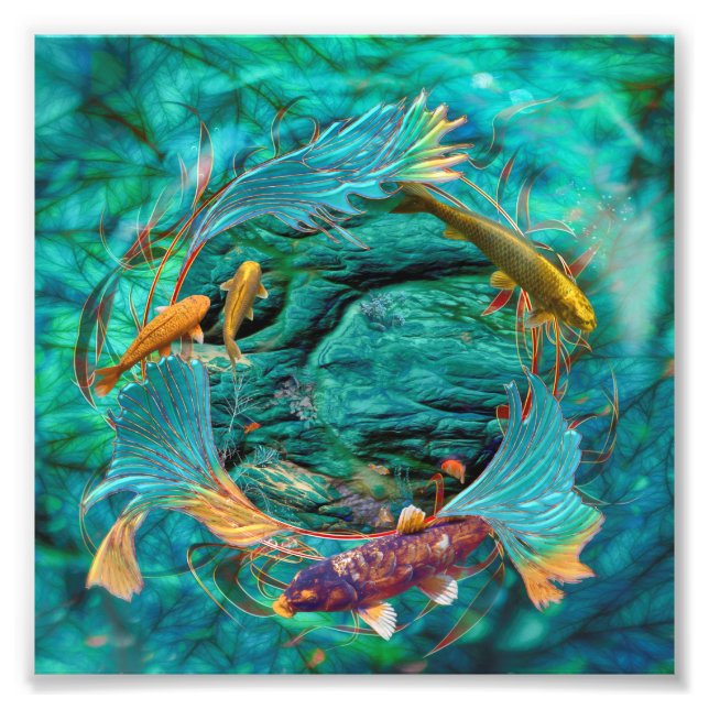 Koi Fish SWIMMING IN Peace Fototryck (Framsidan)
