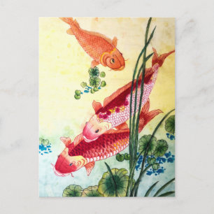 Koi Fish Vykort