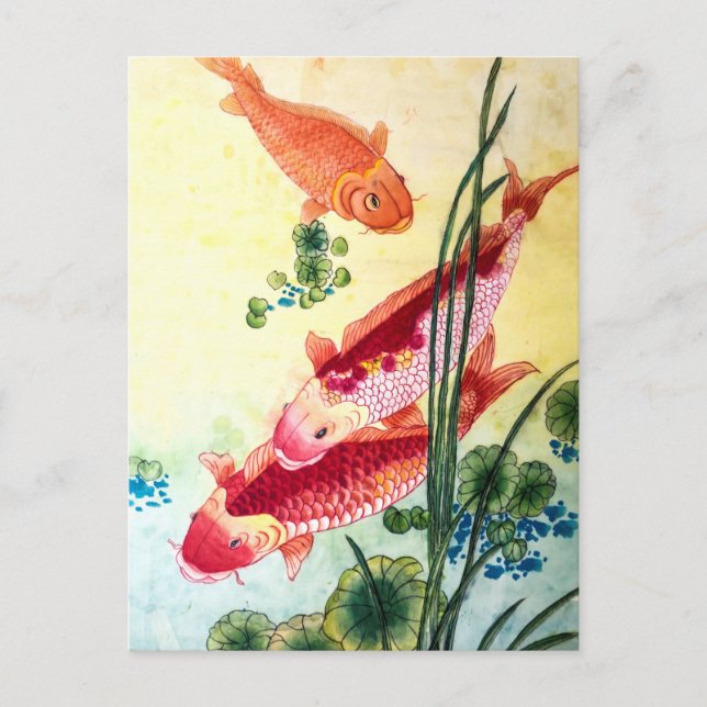 Koi Fish Vykort (Framsida)