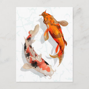 Koi Fish Vykort