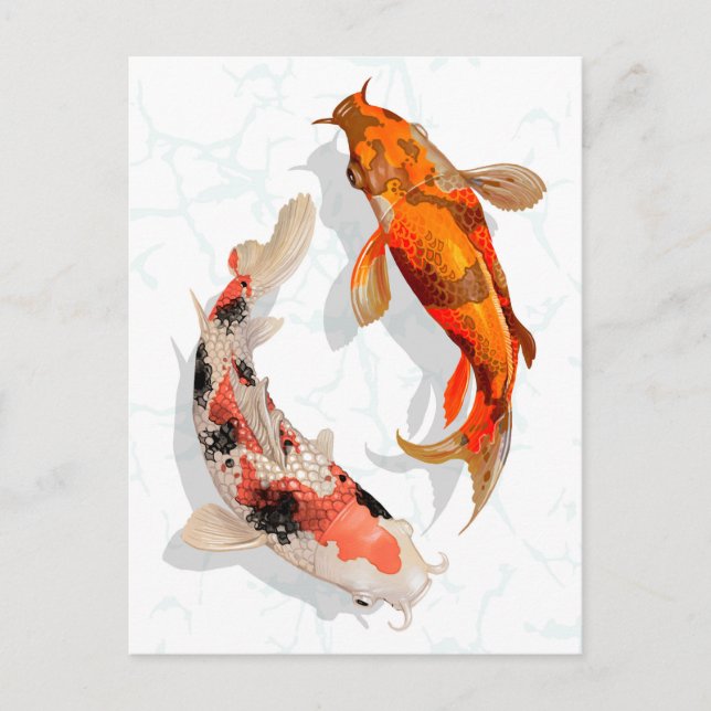 Koi Fish Vykort (Framsida)