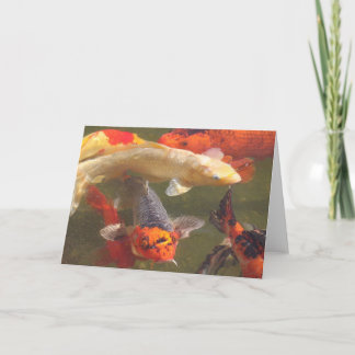Koi fisk v.2 kort