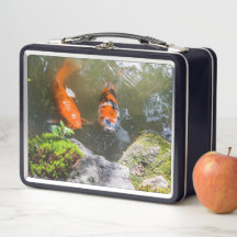 Koi fiskar i en damm