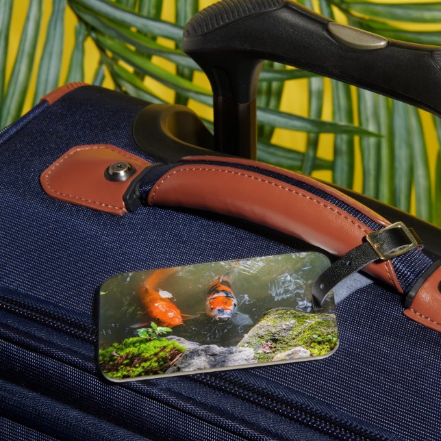 Koi fiskar i en damm bagagebricka (Framsida Insitu 3)