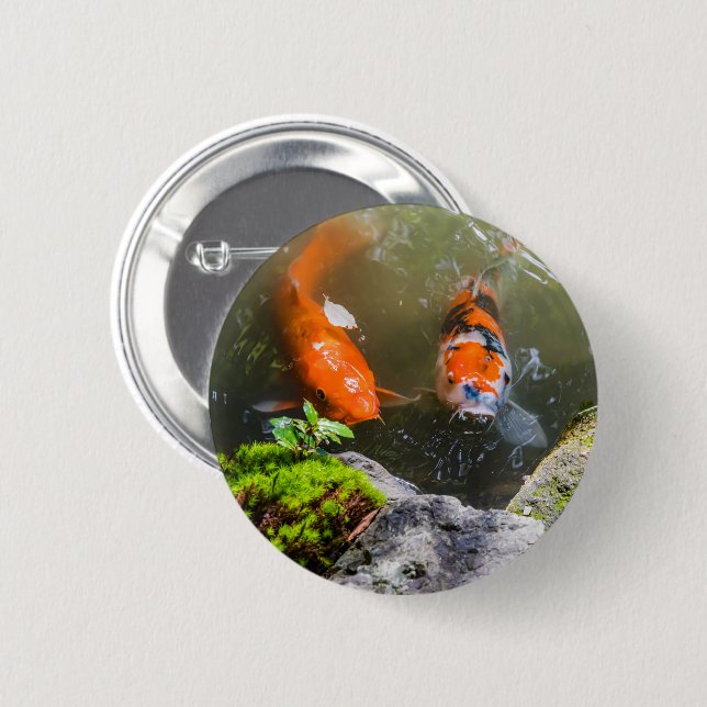 Koi fiskar i en damm knapp (Framsida & baksida)