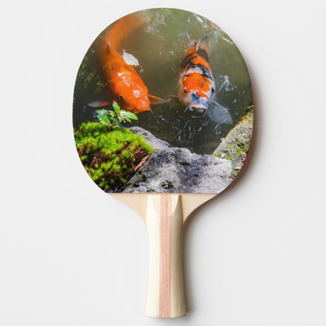 Koi fiskar i en damm pingisracket (Framsidan)