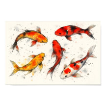 Koi-fiskar