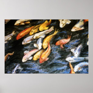 Koi-fiskfärg Poster Art Skriv ut