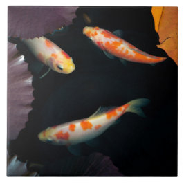 Koi för elegant tre i näckrosdamm kakelplatta
