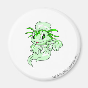 Koi grönt magnet
