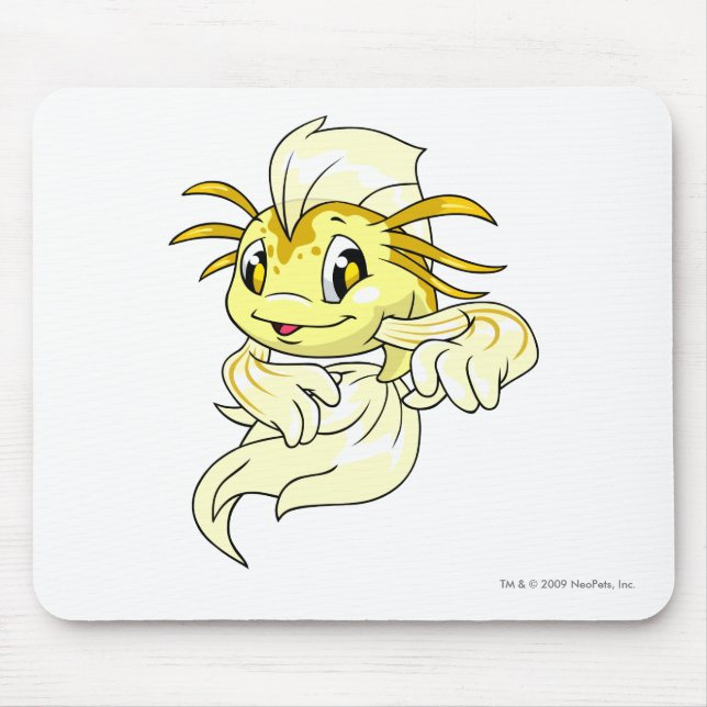 Koi gult musmatta (Framsidan)