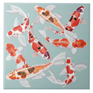 Koi Kakelplatta