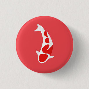 Koi Knapp
