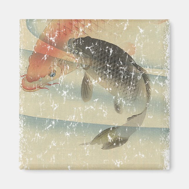 Koi Magnet (Framsidan)