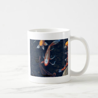Koi mugg