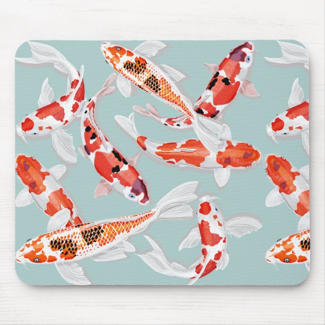 Koi Musmatta (Framsidan)