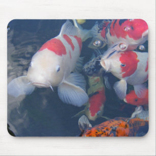 Koi Musmatta