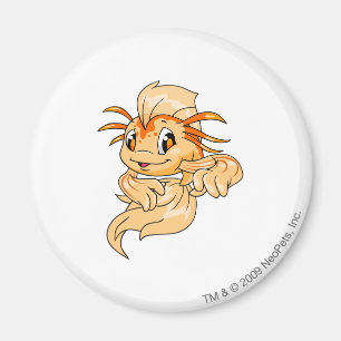Koi orange magnet