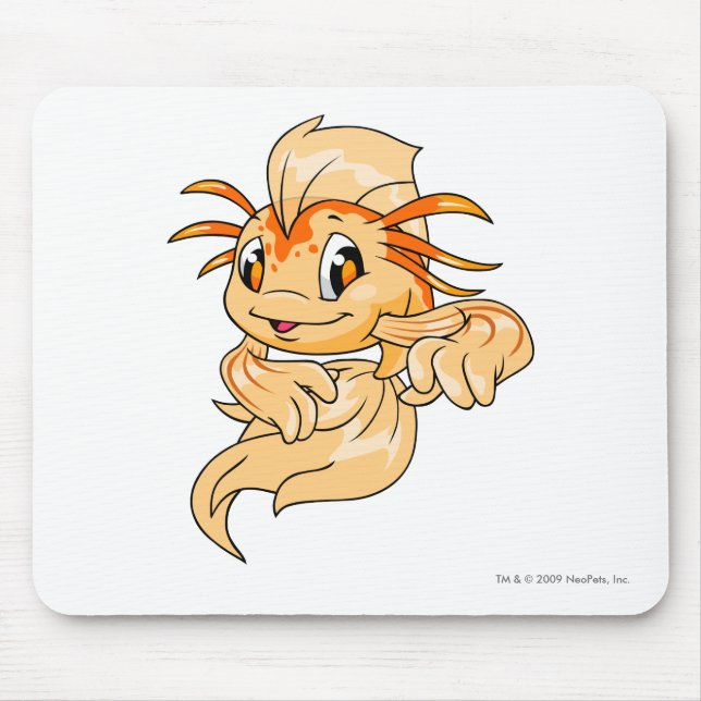 Koi orange musmatta (Framsidan)