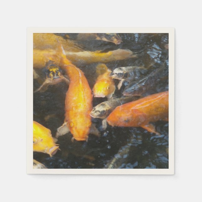 Koi Pappersservett (Framsidan)