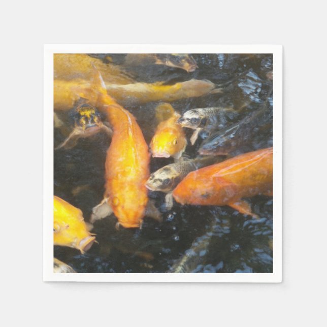 Koi Pappersservett (Framsidan)