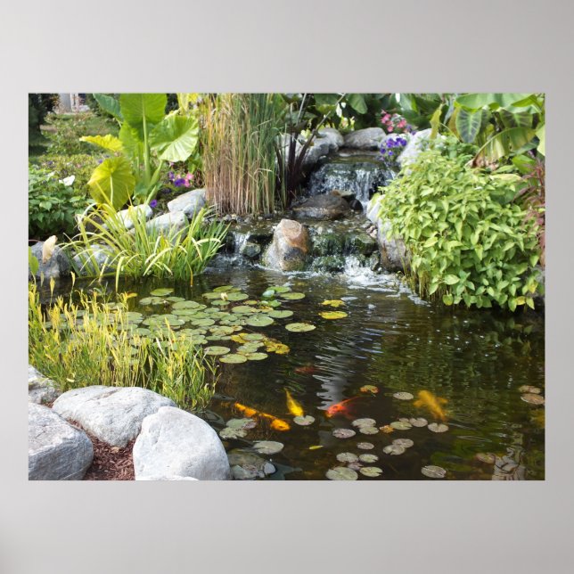 Koi Pond med Waterfall Poster (Framsidan)