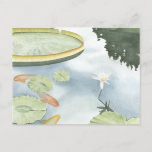 Koi Pond Reflection with Fish and Lilies Vykort