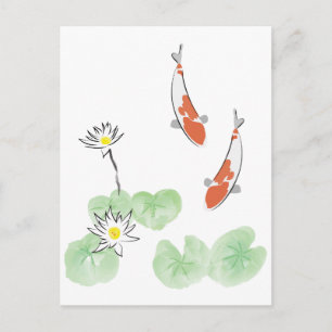 Koi Pond - vit bakgrund Vykort