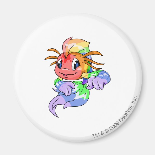 Koi Rainbow Magnet (Framsidan)