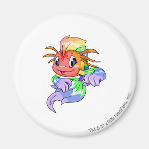 Koi regnbåge magnet
