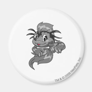 Koi skuggar magnet
