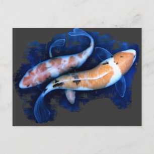 Koi Tango Vykort