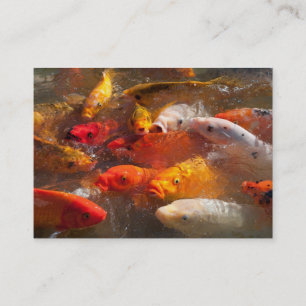 Koi visitkort