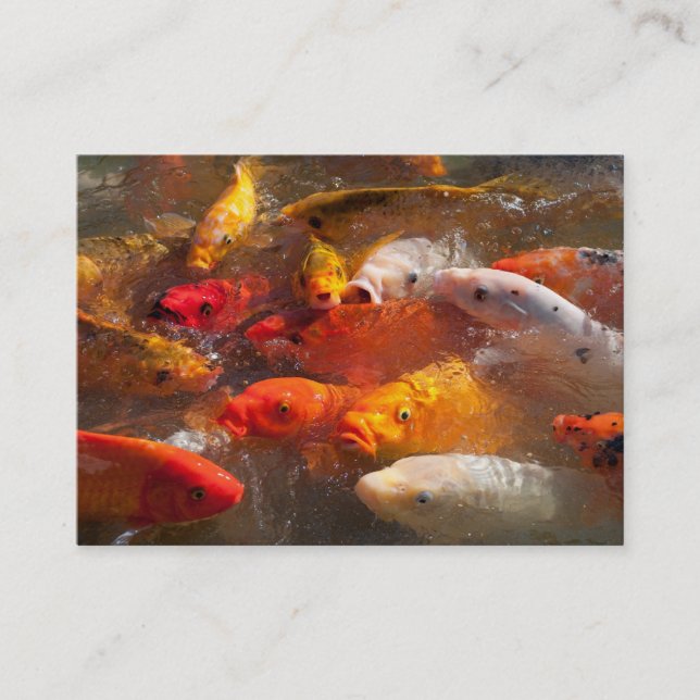 Koi visitkort (Framsida)