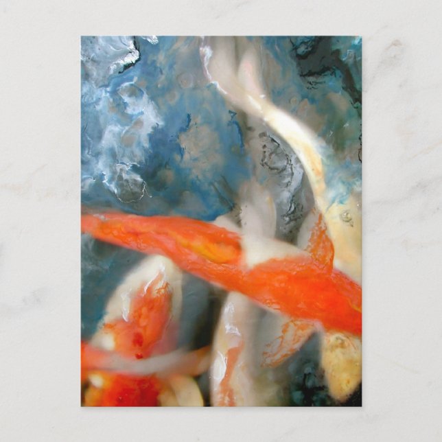 Koi Vykort (Framsida)